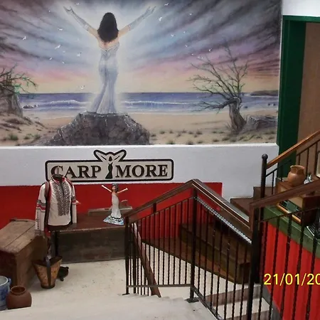 מלון Carpymore ביוגראד נה מורו